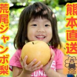 荒尾ジャンボ梨　熊本県荒尾産市場であまりみない特別な梨